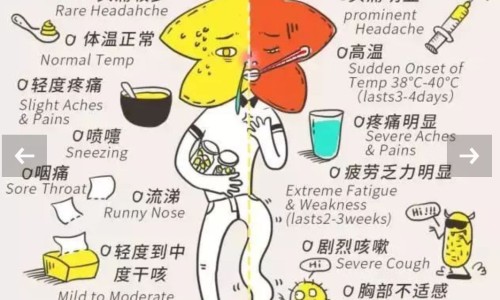 人流后吃羊汤好吗-做流产手术可以吃羊肉吗专区_流产后可以吃羊肉么补身体专区_女人人流术后吃羊肉好不好网